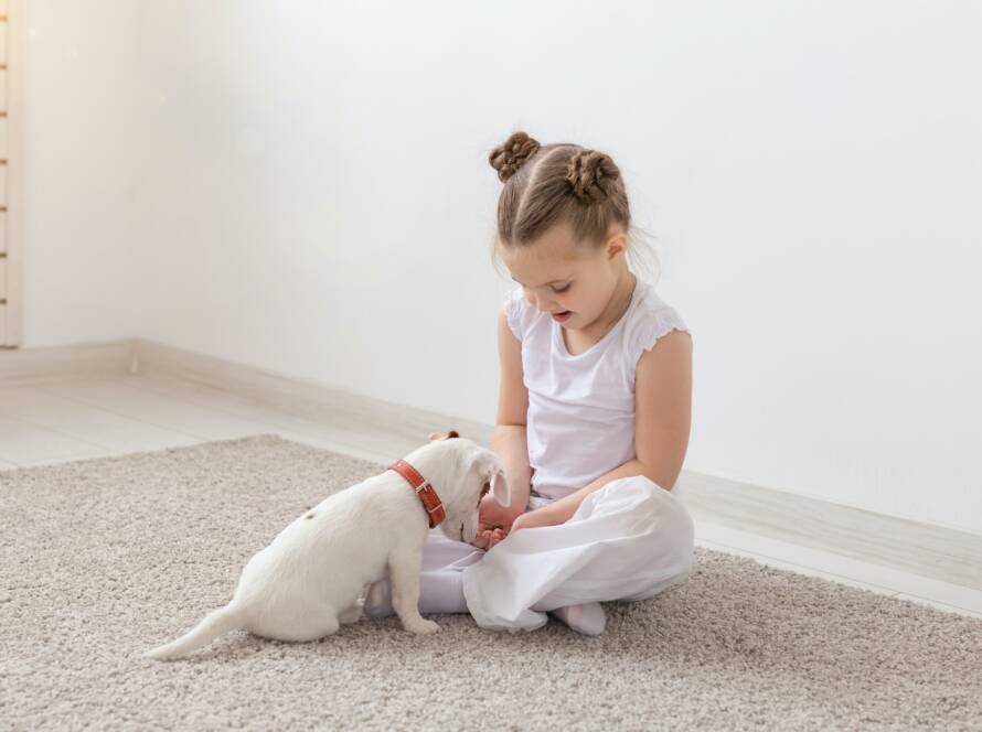 Children and animal concept - Puppy with his owner sitting on the floor