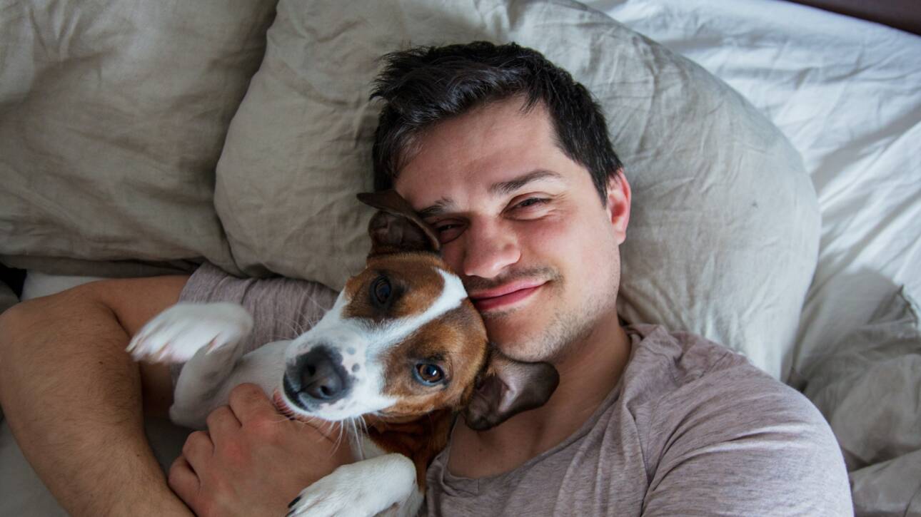 Man with dog lying down in the bed in a morning